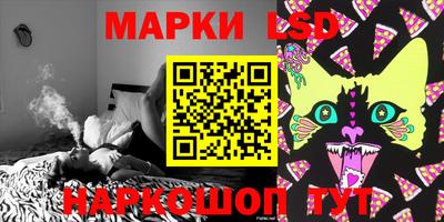 тгк Можга