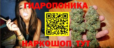 мдпв Моздок