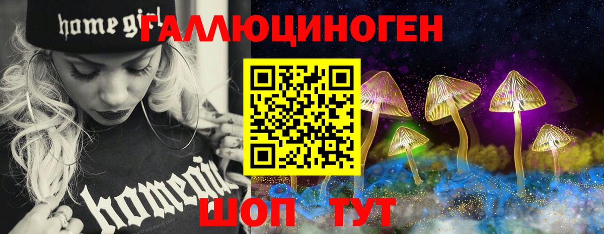 Северск  Псилоцибиновые грибы мицелий  Вход с VPN 